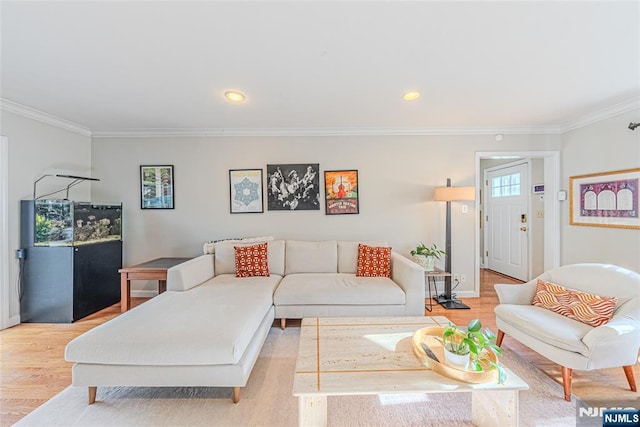 living room featuring ornamental molding and light hardwood / wood-style floors