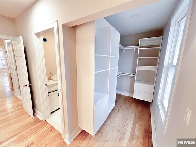 walk in closet with light hardwood / wood-style floors