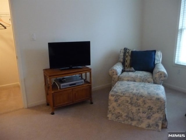 sitting room featuring light carpet