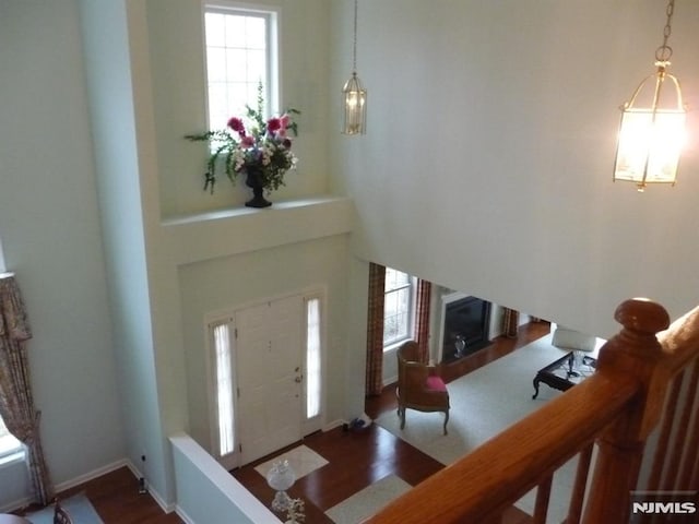 entrance foyer featuring wood-type flooring