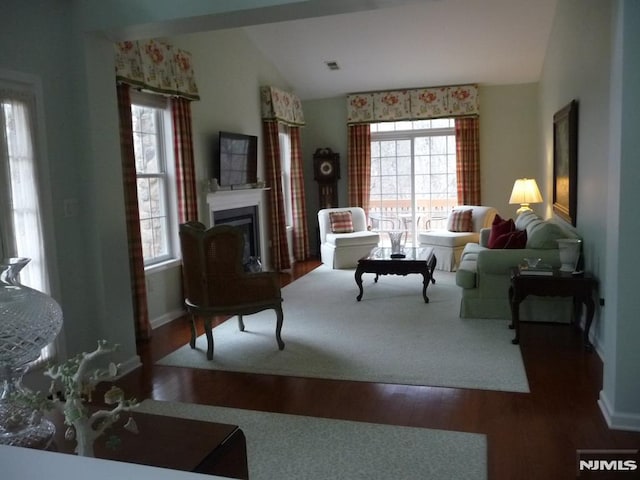 living room with hardwood / wood-style flooring and lofted ceiling