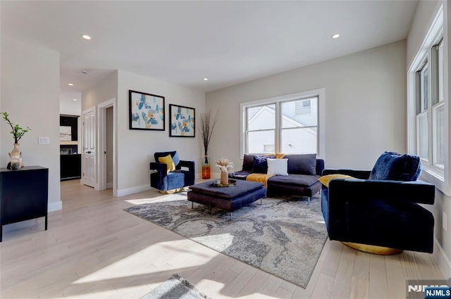 living room featuring light hardwood / wood-style flooring