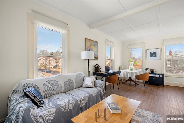 living room featuring dark wood-type flooring and plenty of natural light