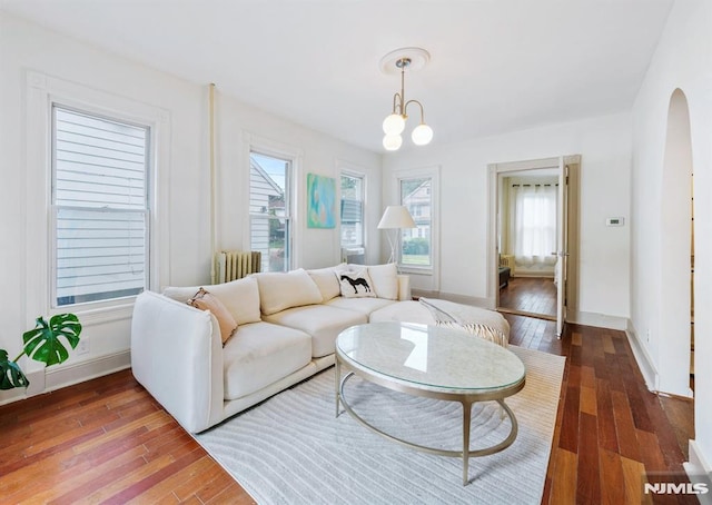 living room with an inviting chandelier, radiator, and dark hardwood / wood-style flooring