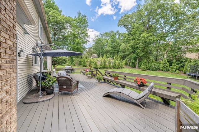 deck with a trampoline