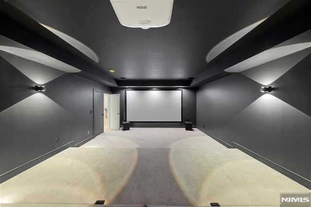 view of carpeted home theater