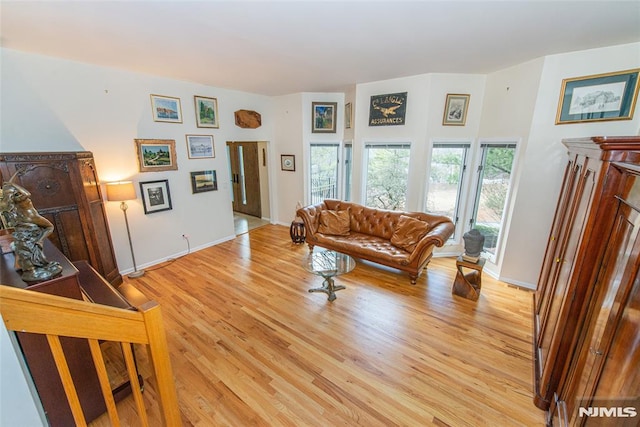 living room featuring light wood-type flooring