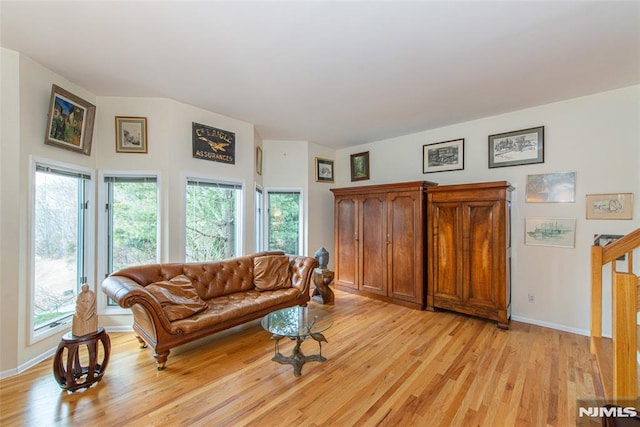 living room with light hardwood / wood-style floors