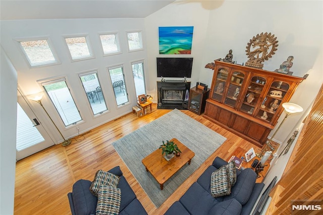 living room featuring hardwood / wood-style floors and a towering ceiling