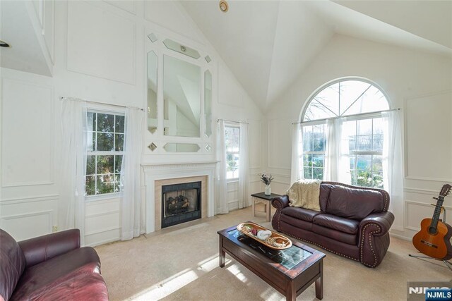 342 Mount Pleasant Ave, Rockaway Township, NJ 07801 - carpeted living room with high vaulted ceiling and a fireplace
