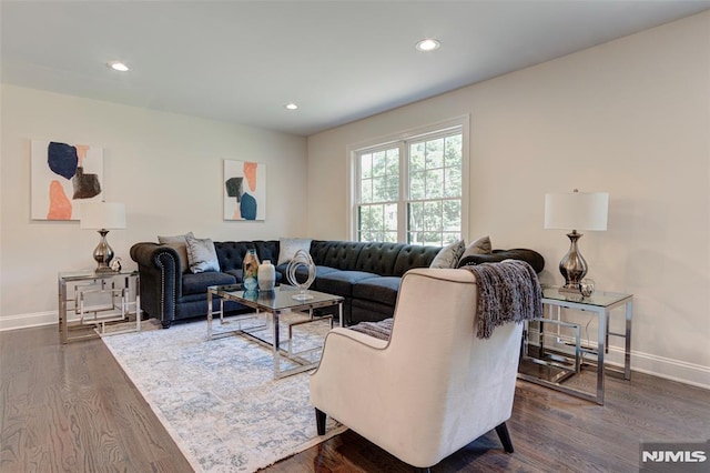 living room featuring dark hardwood / wood-style flooring