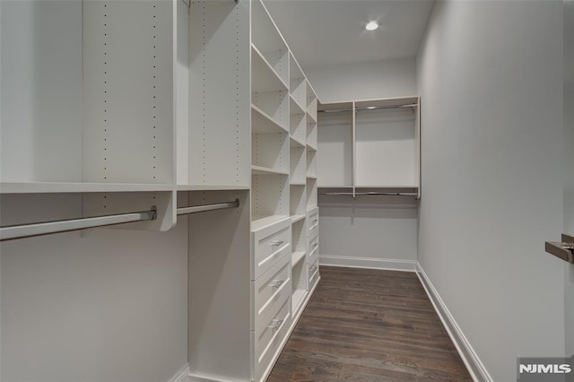 spacious closet with dark wood-type flooring