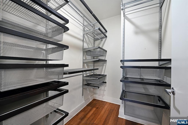 spacious closet featuring wood finished floors