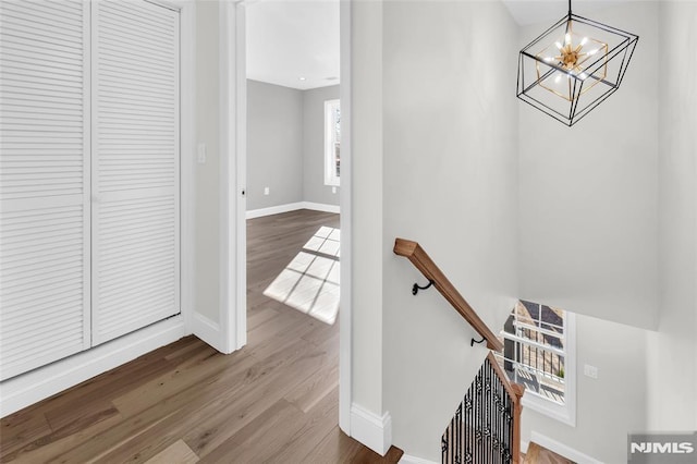 staircase with hardwood / wood-style flooring and a chandelier