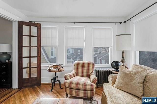 living area featuring radiator, a wealth of natural light, and wood-type flooring