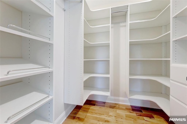 walk in closet with wood-type flooring