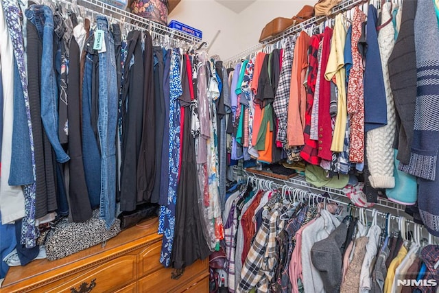 view of spacious closet