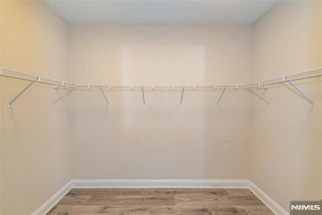 walk in closet with hardwood / wood-style floors