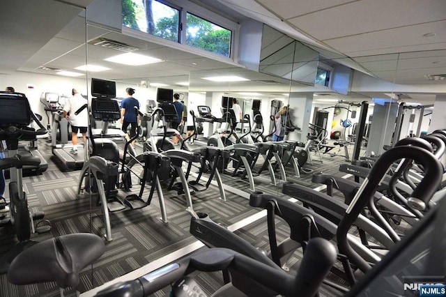 workout area featuring a paneled ceiling and carpet floors