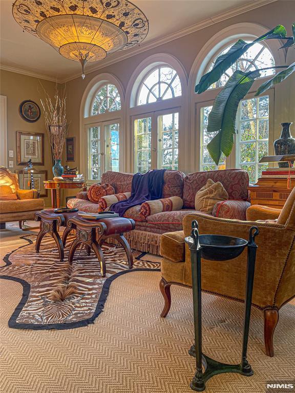 living room featuring french doors, crown molding, and plenty of natural light