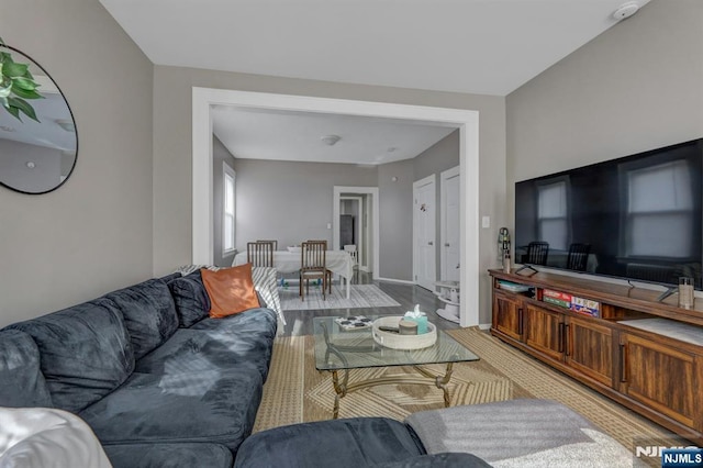 living room with hardwood / wood-style flooring