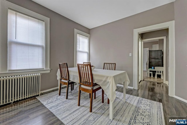 dining space with radiator and hardwood / wood-style floors