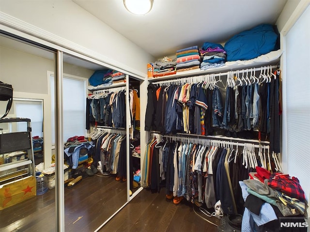 walk in closet featuring dark hardwood / wood-style floors