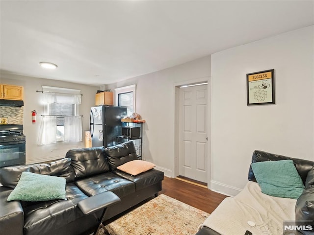 living room featuring dark wood-type flooring