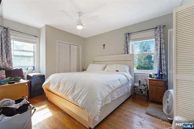 bedroom with wood-type flooring, a closet, and ceiling fan