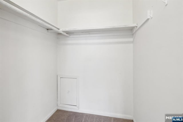 spacious closet with carpet floors