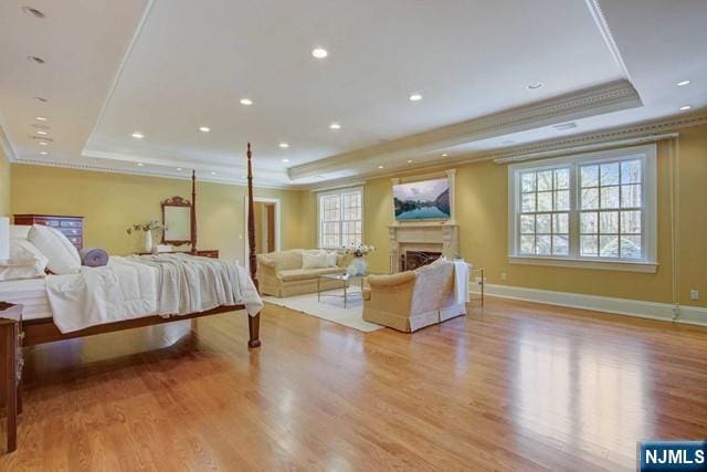 bedroom featuring crown molding and a raised ceiling