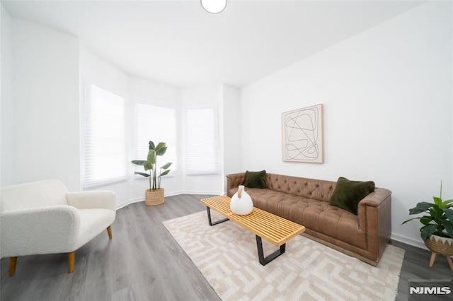 living room with light hardwood / wood-style floors