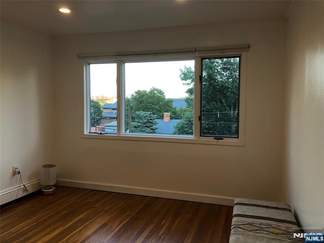 spare room with a wealth of natural light, dark hardwood / wood-style floors, and baseboard heating