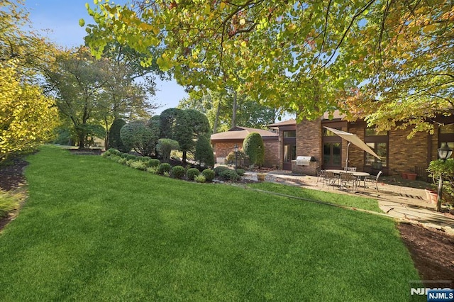 view of yard featuring a patio area