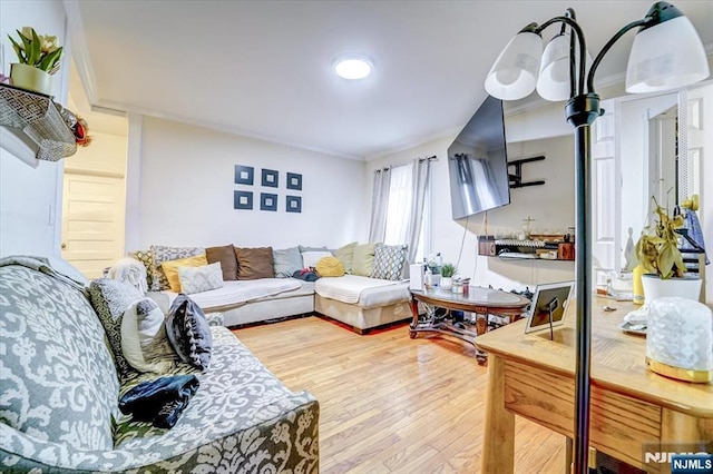 living room with crown molding and light hardwood / wood-style flooring