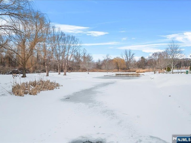 view of yard covered in snow