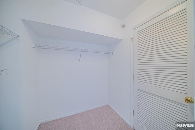 walk in closet featuring light carpet