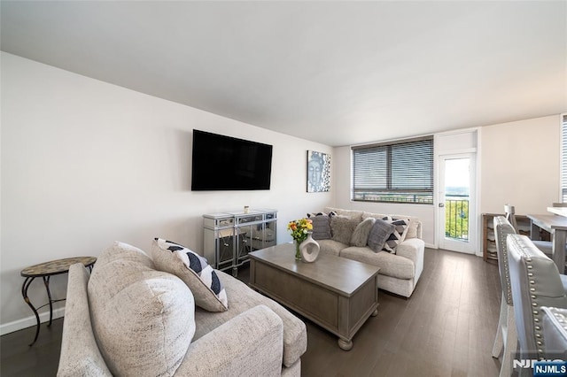 living room with dark hardwood / wood-style flooring