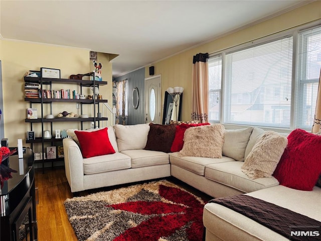 living room with crown molding and wood-type flooring