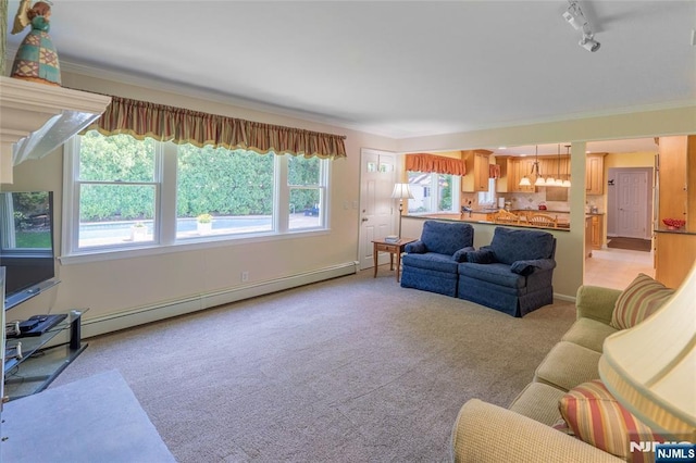 living room with a baseboard radiator, light carpet, ornamental molding, and rail lighting