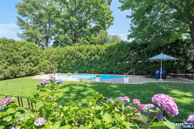 view of swimming pool featuring a patio area, a yard, fence, and a fenced in pool