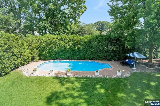 pool with a lawn and a patio