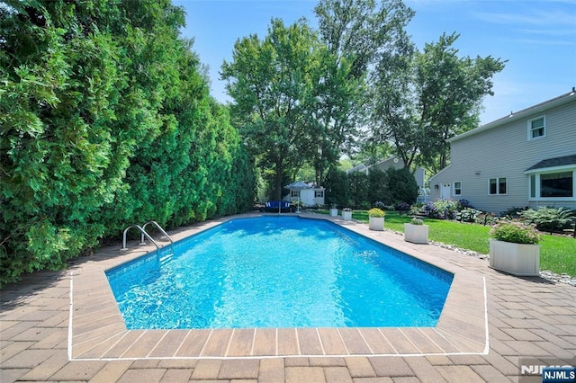 outdoor pool with a patio, a lawn, and an outbuilding