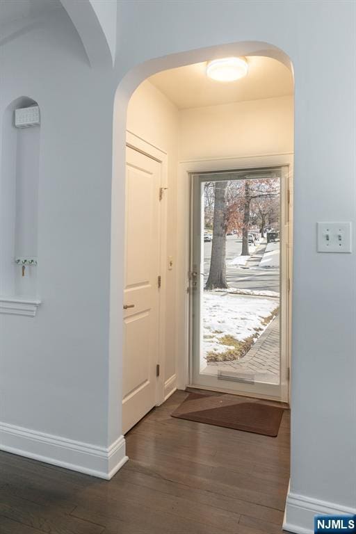 entrance foyer with dark hardwood / wood-style floors