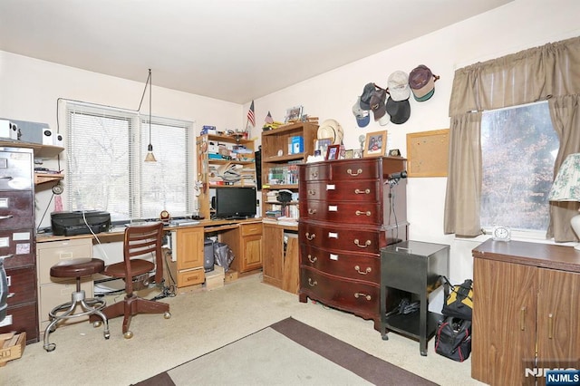 office with light colored carpet