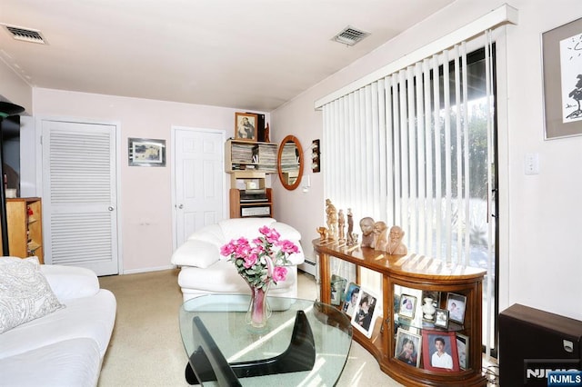 living room featuring carpet flooring