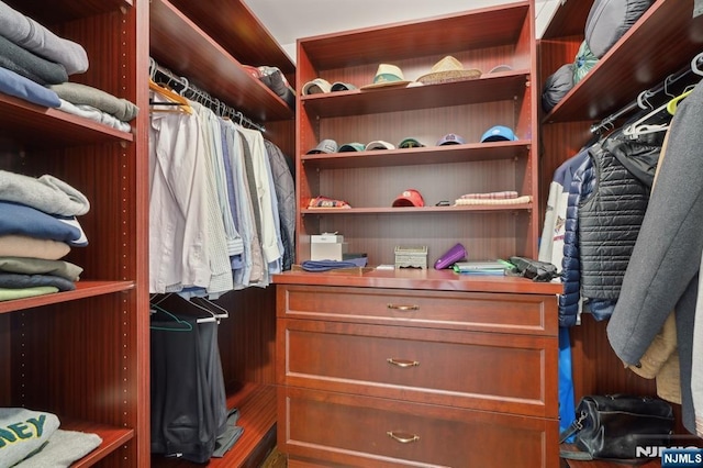 view of spacious closet