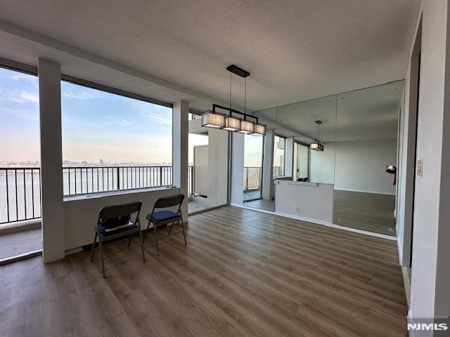 unfurnished dining area featuring dark hardwood / wood-style flooring