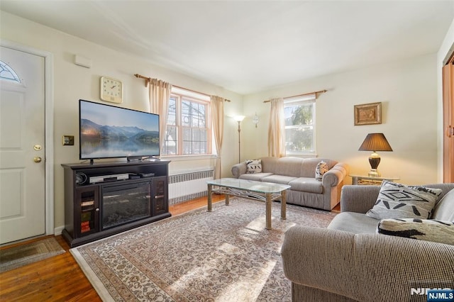 living room featuring hardwood / wood-style floors and radiator heating unit