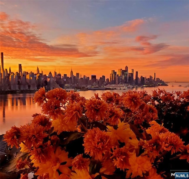 nature at dusk featuring a water view